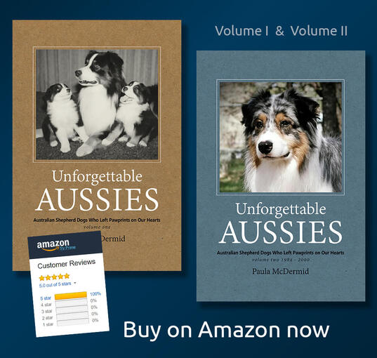 Australian Shepherd genealogy and history for Aussie breeders Unforgettable Aussies