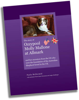 Brochure cover, The story of Ozzypool Molly Mallone at Allmark.